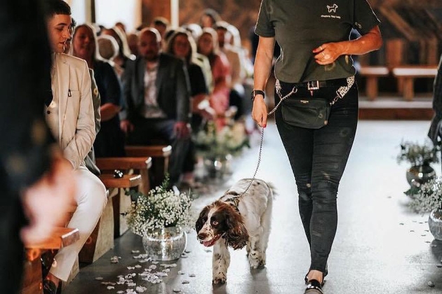 Cheshire Dog Lady team member walking a wedding woofer down the aisle